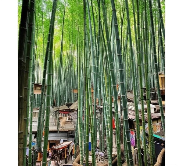 竹园商贸区,商业与自然的完美融合 竹园商贸区,商业与自然的完美融合
